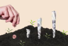 US-based NRD Capital set to open office in Pakistan eying investments in startups