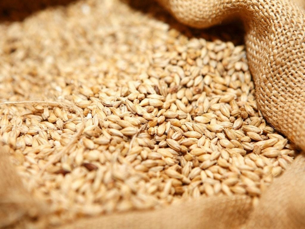Wheat near 9-year high on supply concerns, strong global demand