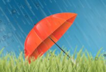 Why we need to give crop insurance more attention