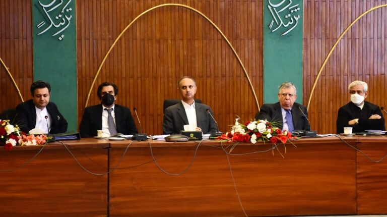 ECC orders revision of summary regarding sales tax on subsidies given to DISCOS