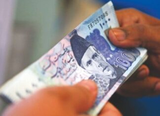 Government earmarks Rs200bn for youth entrepreneurship loans this year