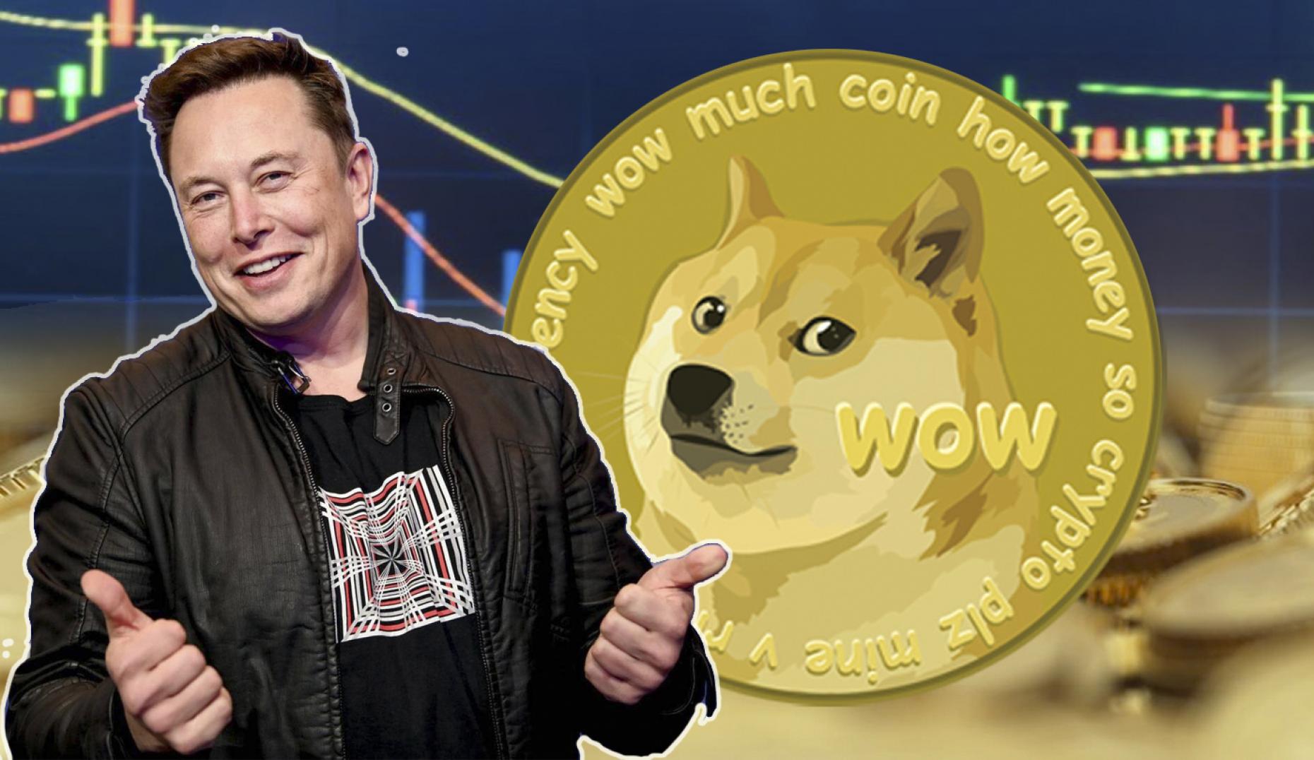 dogecoin will it increase