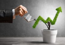 DPP integrates with International Plant Protection Convention’s e-Phyto Hub