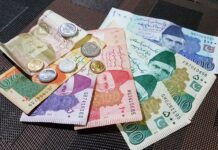 Govt launches independent audit of cashless economy initiatives to assess progress and impact