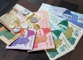 Govt launches independent audit of cashless economy initiatives to assess progress and impact