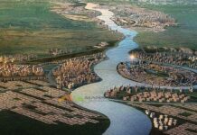 Punjab govt to appeal in SC for restoration of RUDA