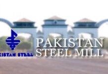 Sindh govt plans modern export zone on Steel Mills land amid concerns