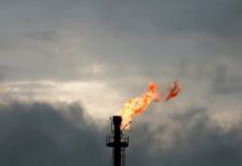 PPL discovers hydrocarbon reserves in Sindh