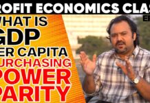 GDP/capita (Purchasing Power Parity) | Profit Economics Class Episode 03