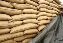 ECC approves summary to increase wheat reserves, orders more imports