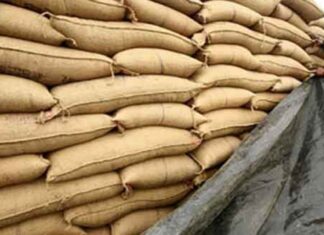 Wheat seed delays expose coordination gaps in inter-provincial logistics