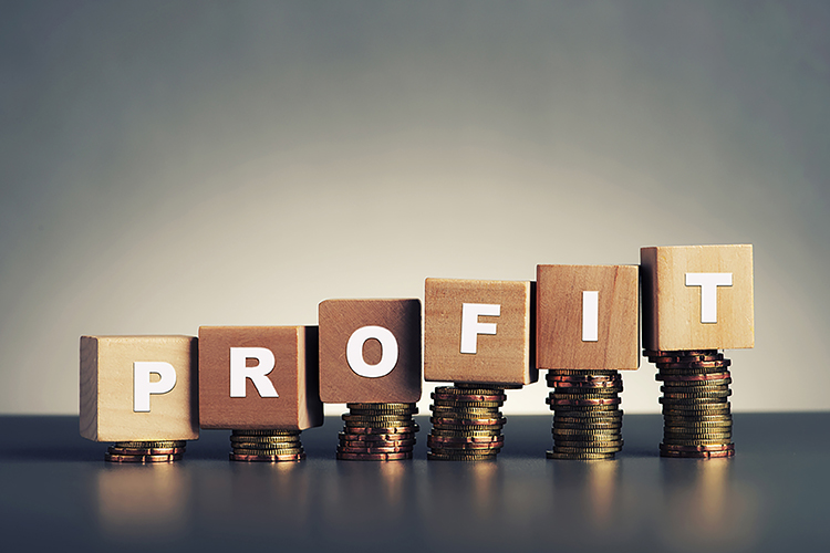Record profits were made last year. Who did what with theirs?