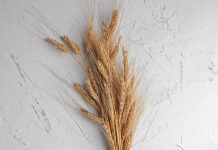 Wheat crisis looming