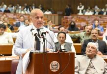 In seeking to come into power, did Shehbaz Sharif make a mistake?