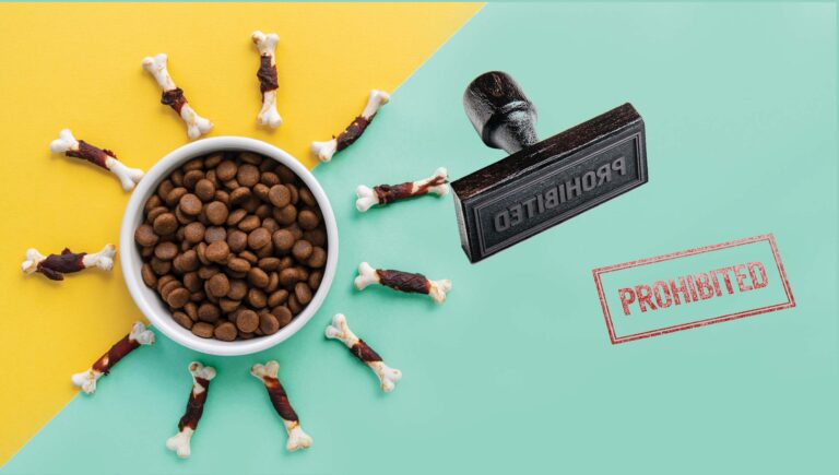 A paw-trait of the pet food ban