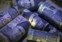 Govt raises Rs466.56bn, cut off yields remain mostly unchanged