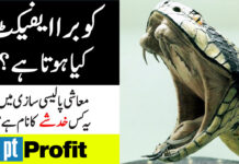 What is Cobra Effect?| Why Economists Are Afraid of it? | Profit Urdu