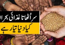 On the verge of another global food crisis? | Profit Urdu