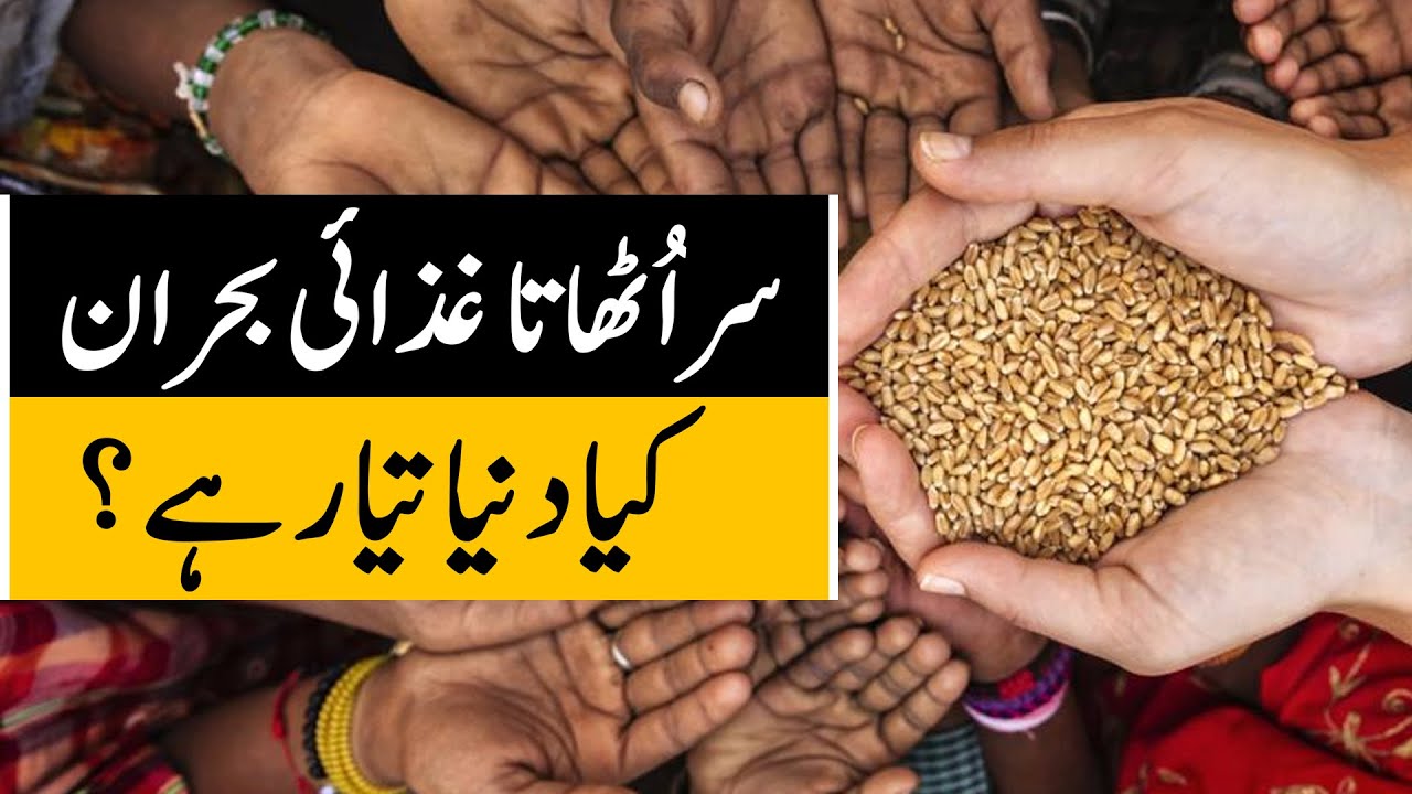 On the verge of another global food crisis? | Profit Urdu