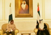 UAE to invest $1bn in Pakistani companies: state news agency