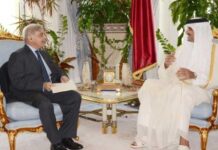 PM seeks Qatari investment in energy, aviation sectors