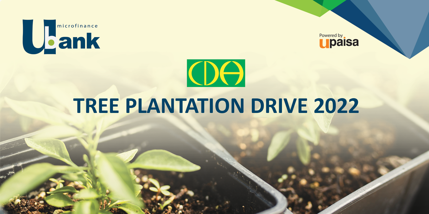 U Microfinance Bank planted 5,000 trees