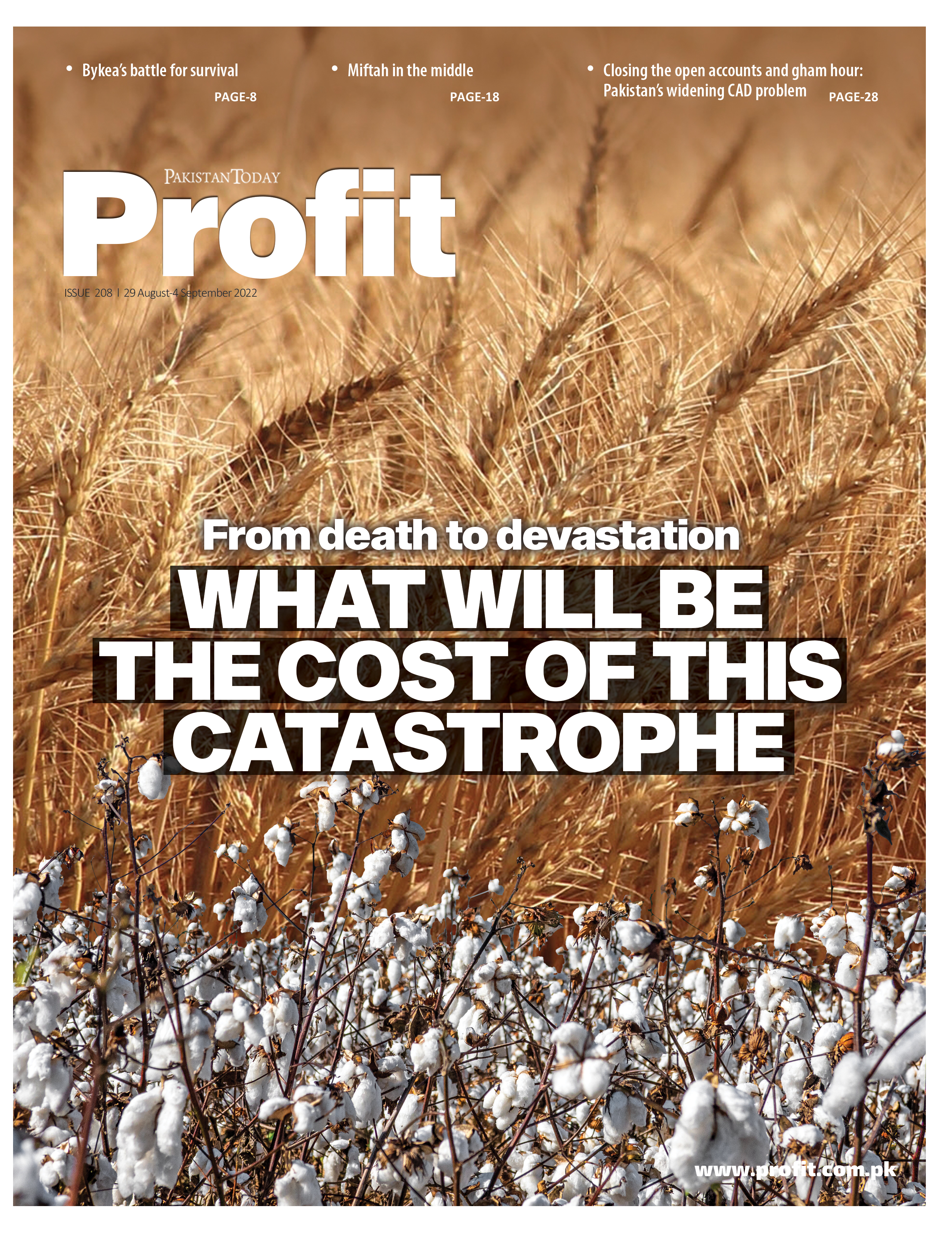 Profit E-Magazine Issue 208