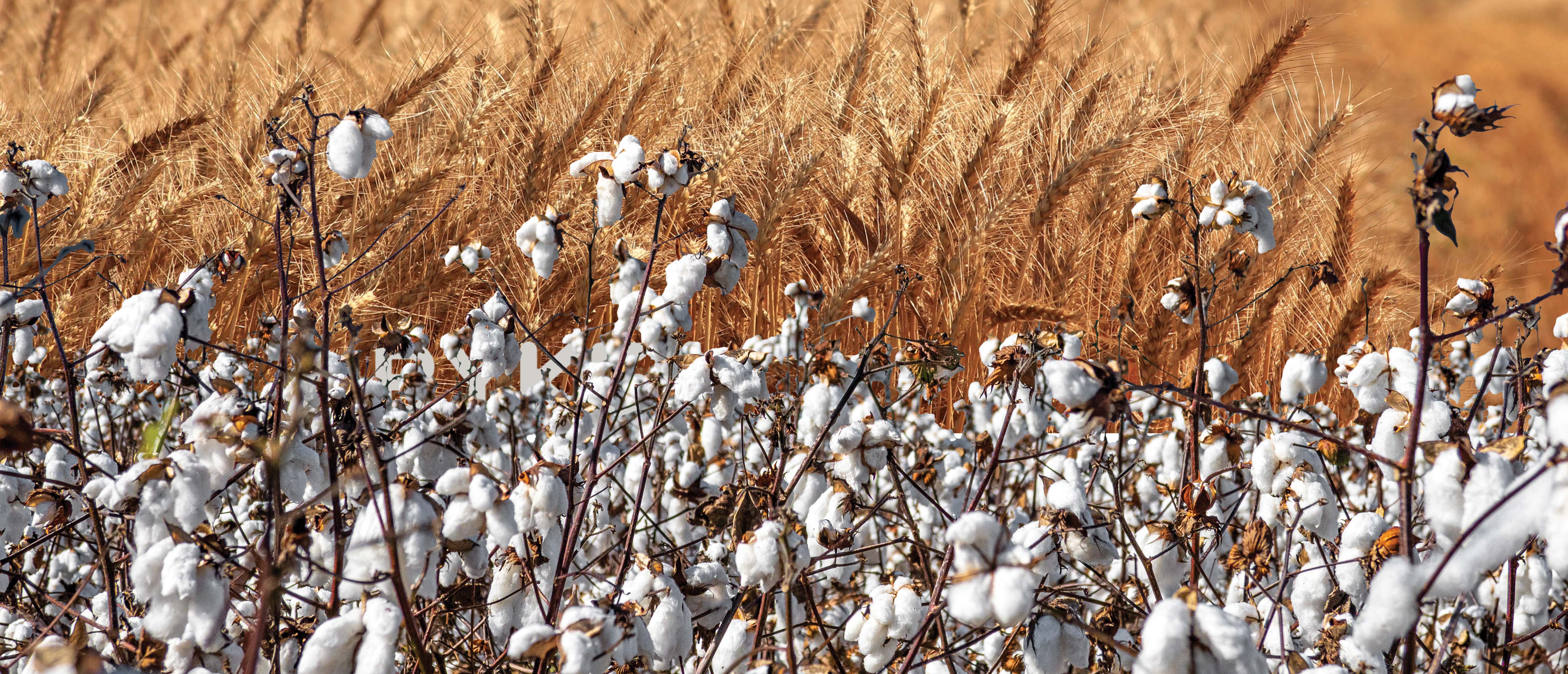 Death, devastation, and now starvation — what is the cost of this catastrophe?