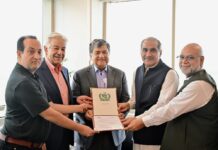 Air Sial goes international following cabinet approval