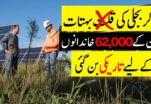 Solar Spain: a cautionary tale about subsidies | Profit Urdu