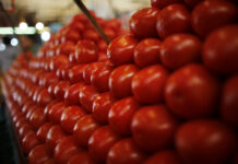 McDonald’s drops tomatoes from India offerings, citing quality concerns as prices surge