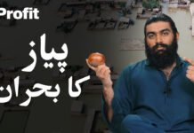 The Onion Crisis | Profit Explains