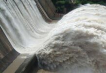 700MW Azad Pattan hydropower project ready for construction: Energy China