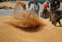 India considers wheat imports from Russia at discount to calm prices – sources