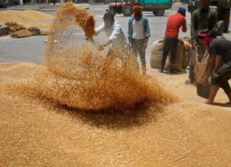 ECC turns down proposal seeking Passco’s wind-up, asks govt to revise Special Purpose Vehicle plan