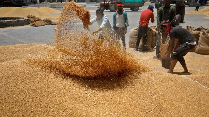 India considers wheat imports from Russia at discount to calm prices - sources
