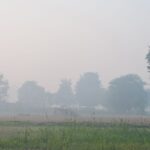 Smog-village-Punjab-state-India