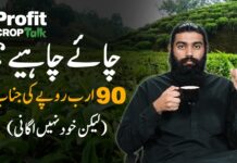 Crop Talk: Tea’s iron grip