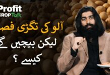 Crop Talk: From no potatoes to too many