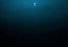 The deep end of the abyss