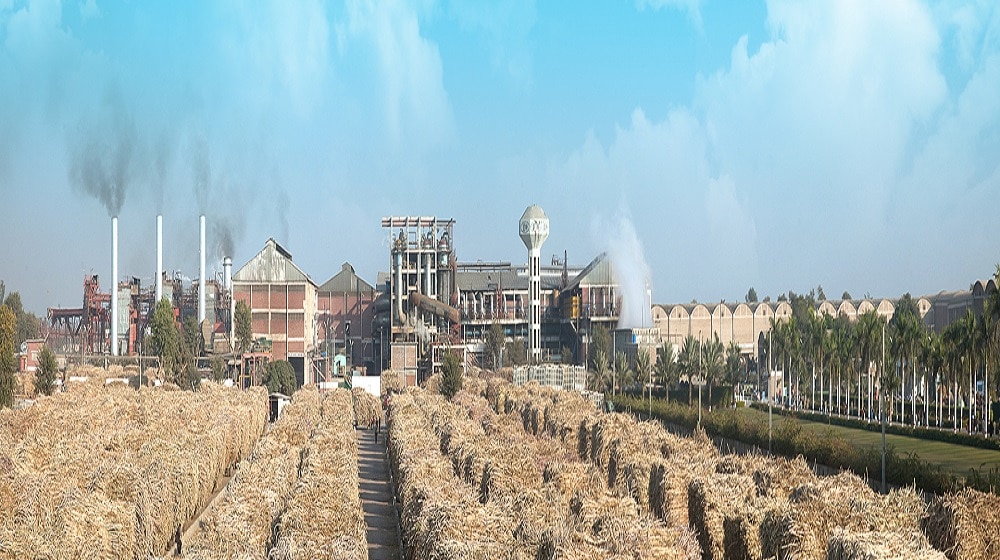 JDW Sugar Mills completes two-million share buyback
