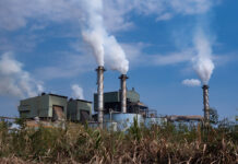 Sugar mills oppose new export restrictions on molasses amid ethanol boomÂ