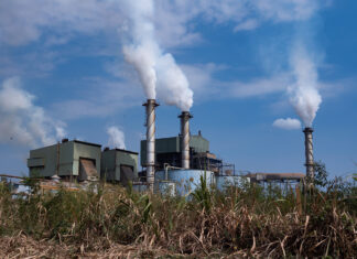 Sugar mills in Sindh delay crushing, threatening wheat sowing and food security