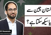 What is the China Model | Profit Opinions