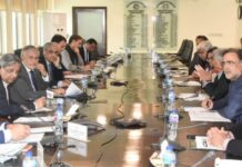 Austerity Committee directs ministries to implement 15% cut in current budgets