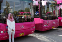 The Pink Bus is the ideal stopgap solution; We just hope it knows when to stop