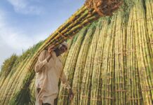 Govt calls for immediate increase in power rates for farmers, export sector