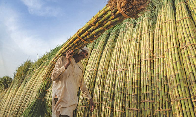 Govt calls for immediate increase in power rates for farmers, export sector
