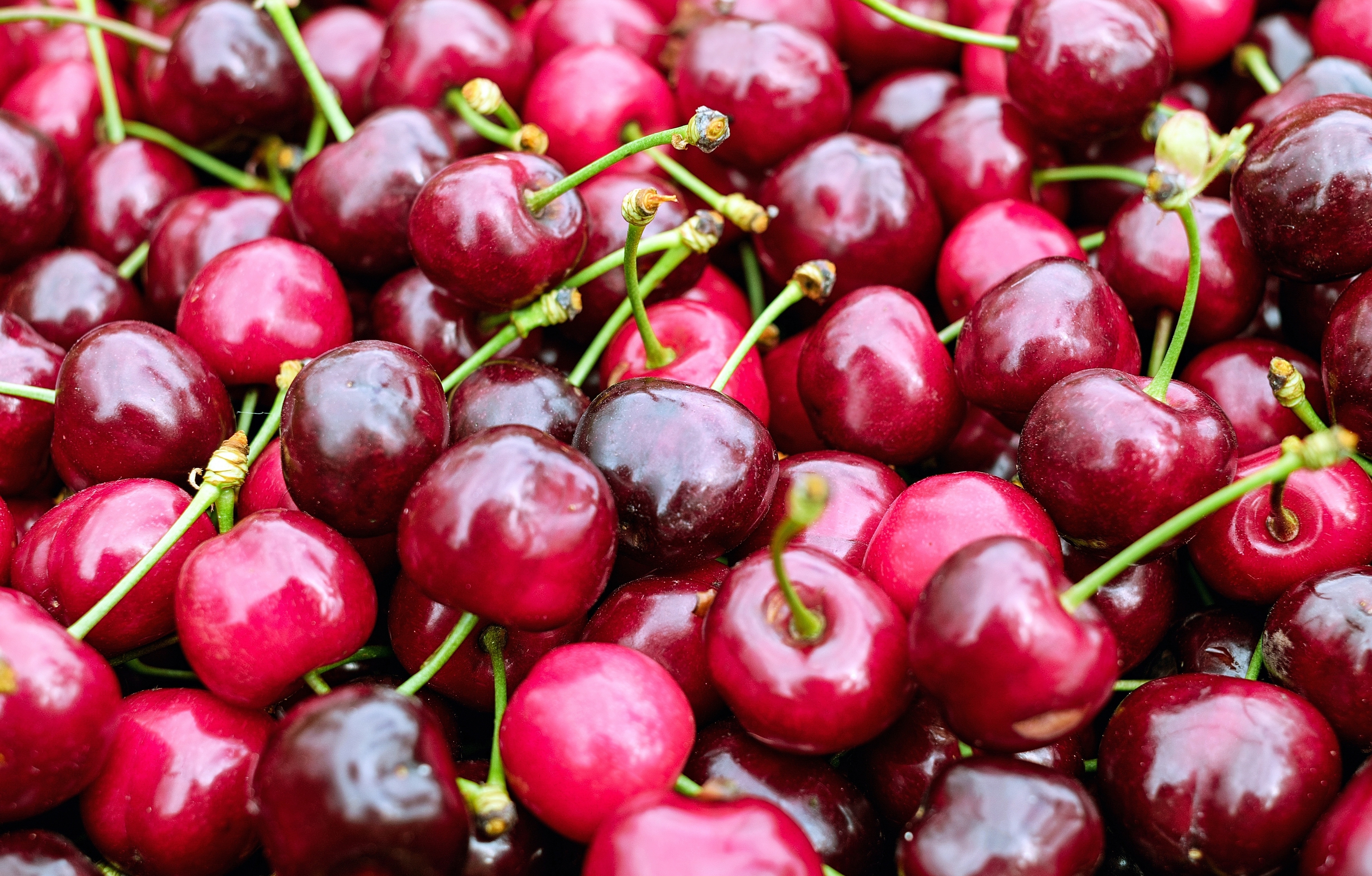 Pakistan's cherries sweeten up Chinese market: market access granted after 12-year wait