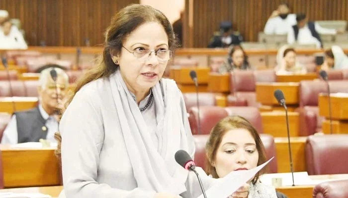 Minister refutes claims of abandoning $6.5b IMF bailout
